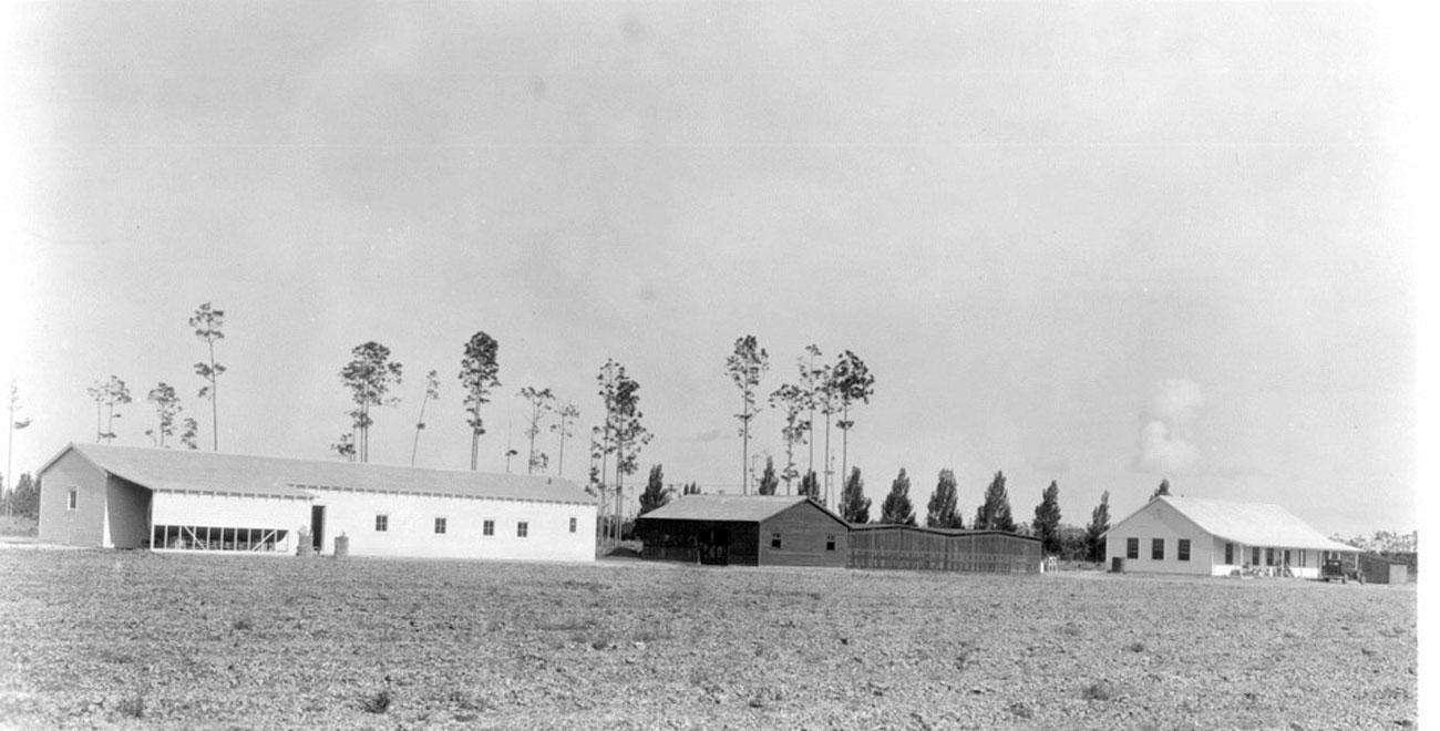 TREC facilities in the 1930s