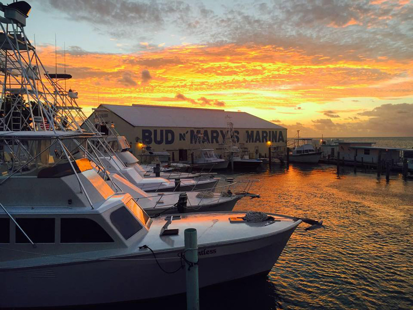 SeatoTable Dinner in Islamorada Edible South Florida