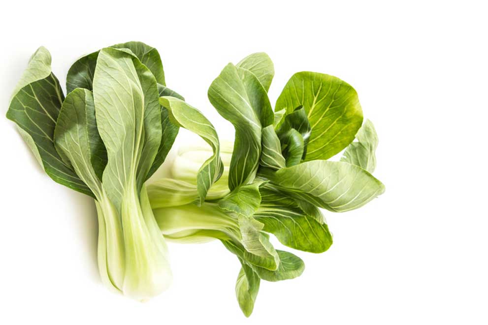 Bok choi