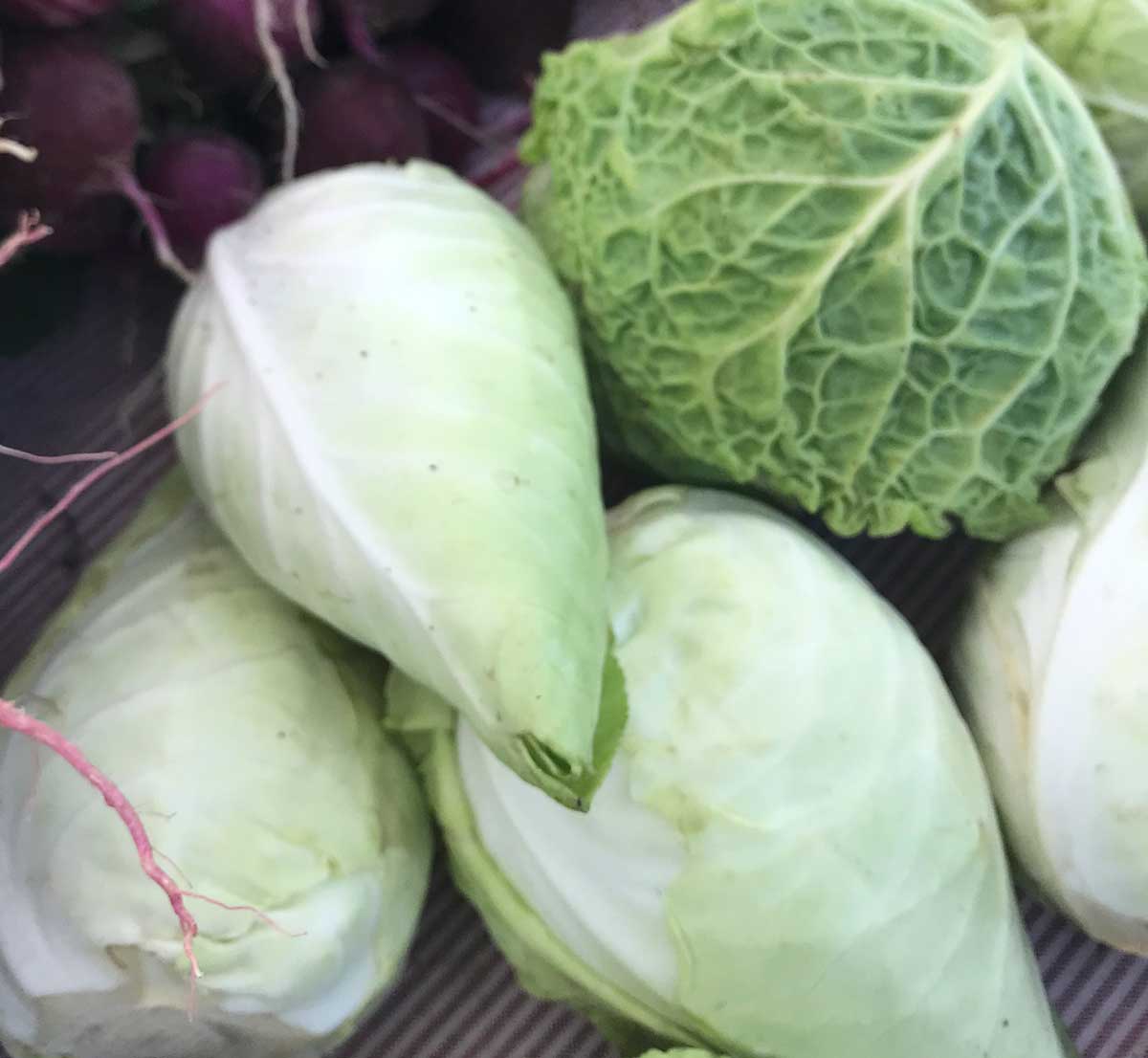 Cabbage at the market
