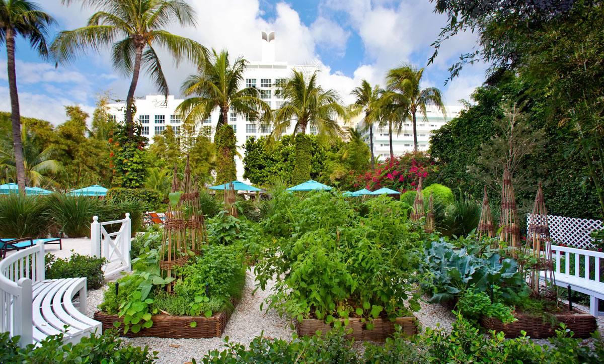 Organic garden at Essensia at The Palms Hotel & Spa