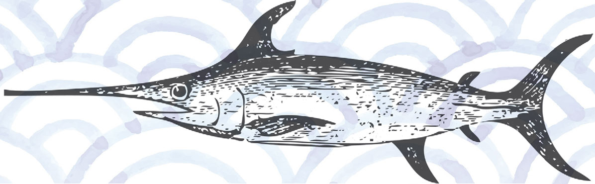 Swordfish illustration
