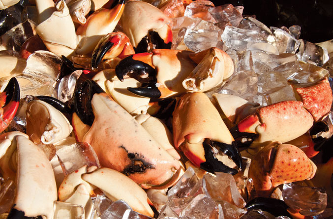 stone crab claws