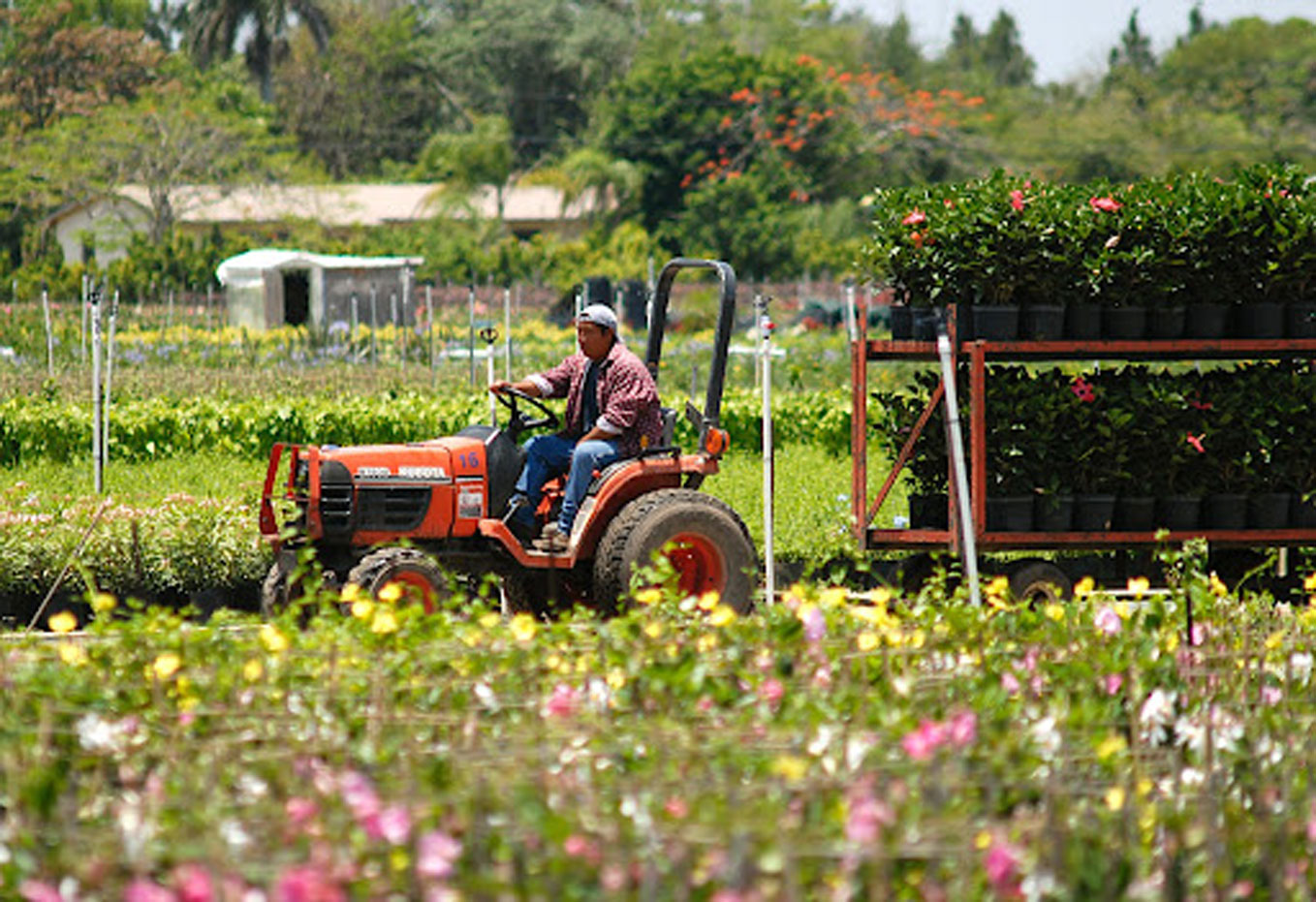 Celebrate Miami-Dade Farmers Month