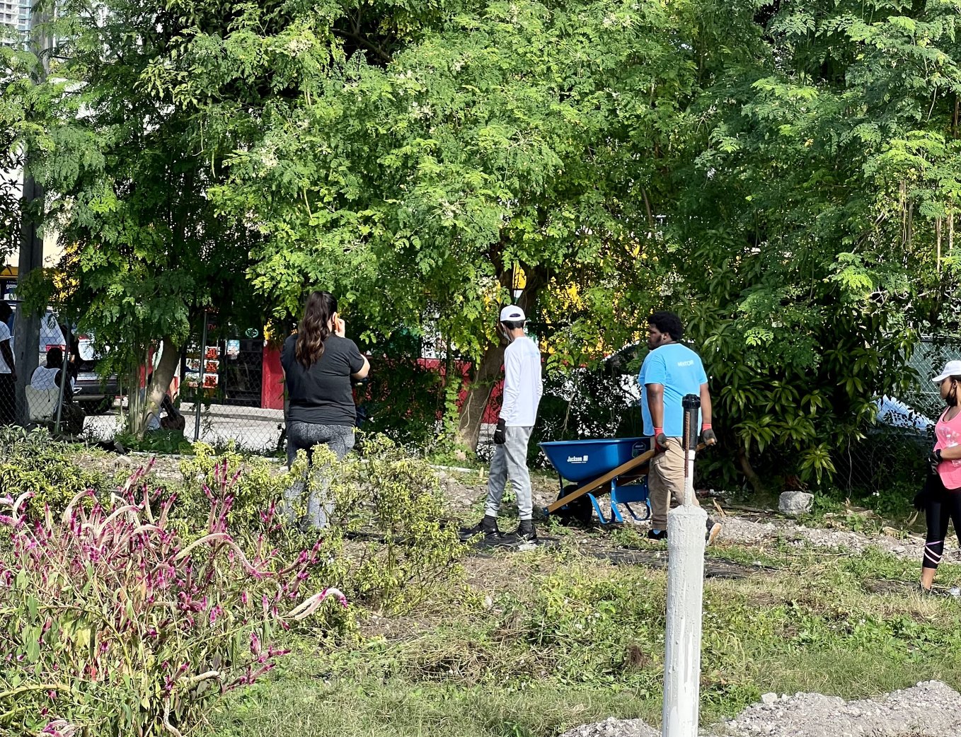 Volunteers at Green Haven Project Overtown