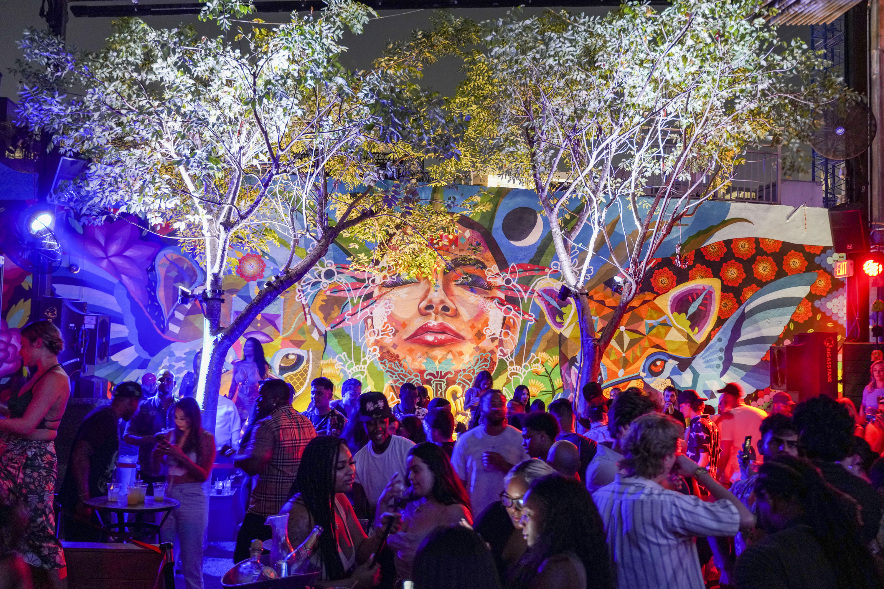 Pilo’s Tequila Garden, Wynwood