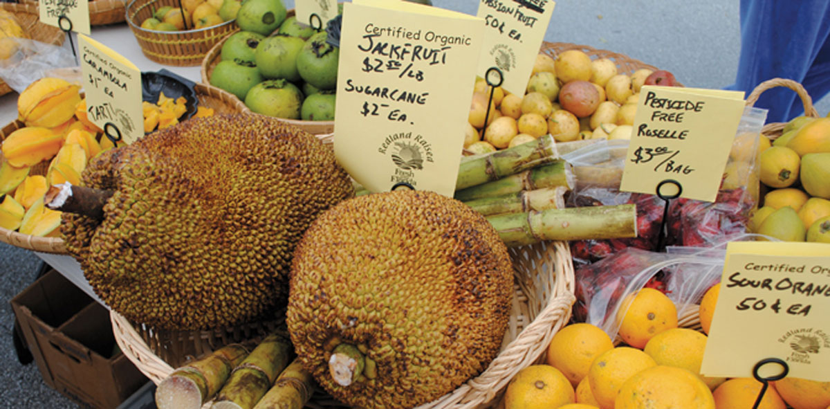 South Florida farmers market fruits