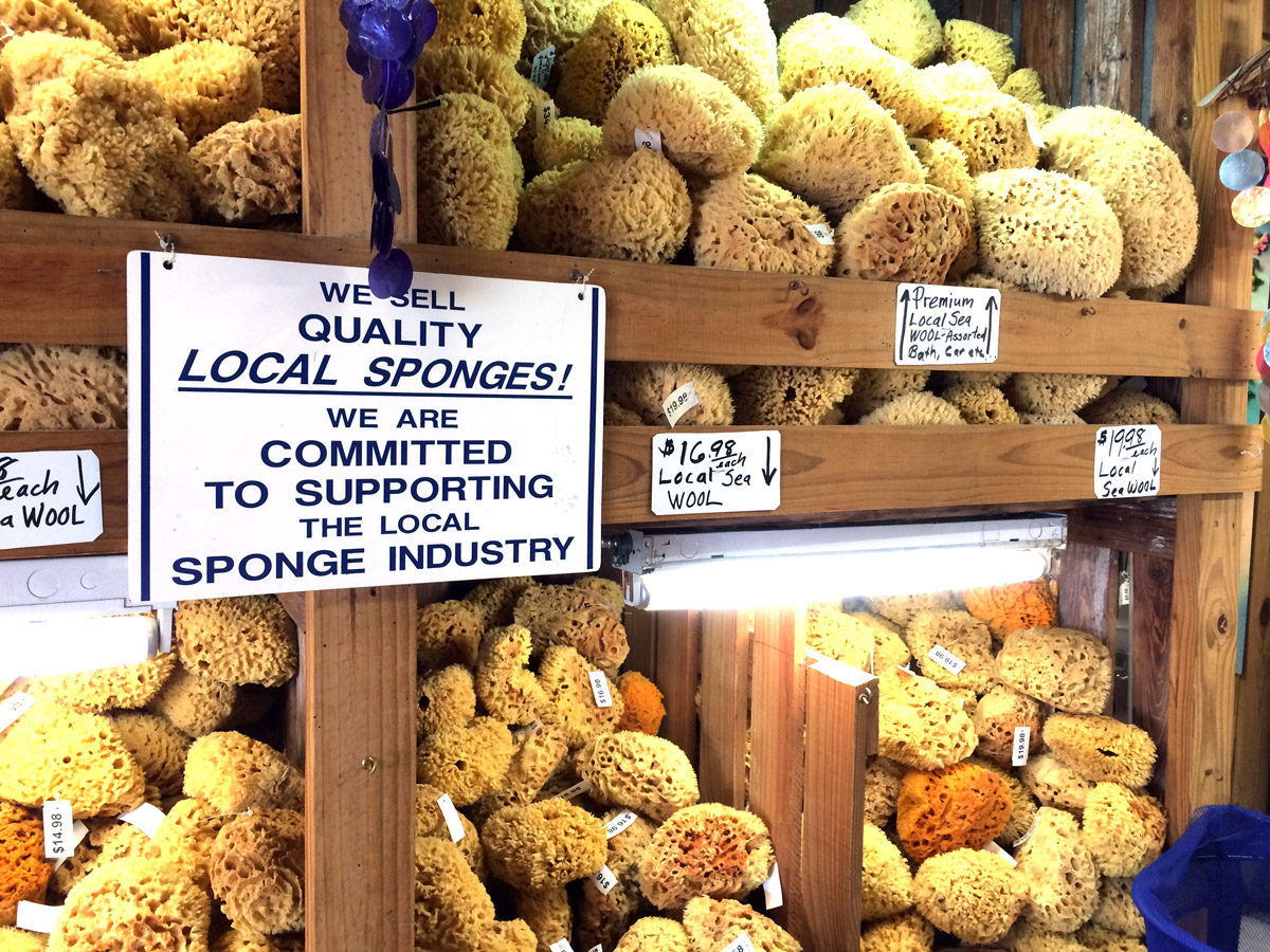 Florida Gulf Coast Premium Sea Wool Sponges