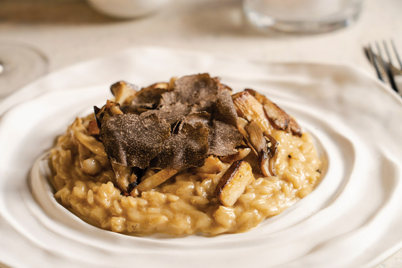 Risotto ai funghi, Toscana Divino