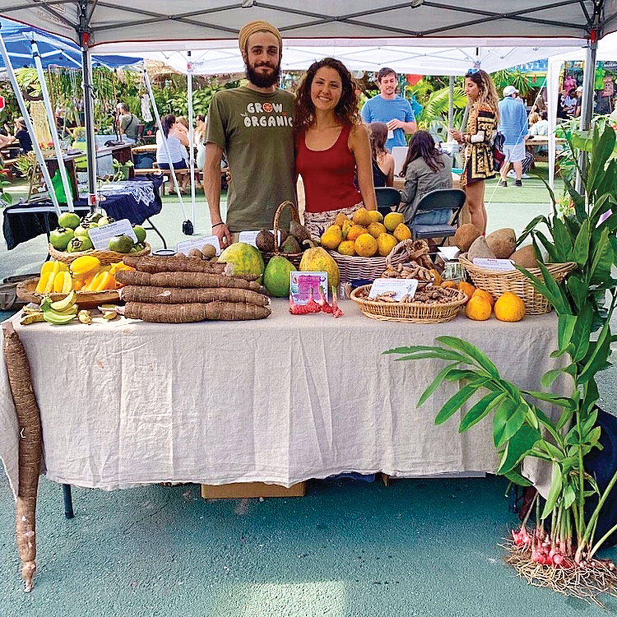 Fruits N Cahoots | Edible South Florida