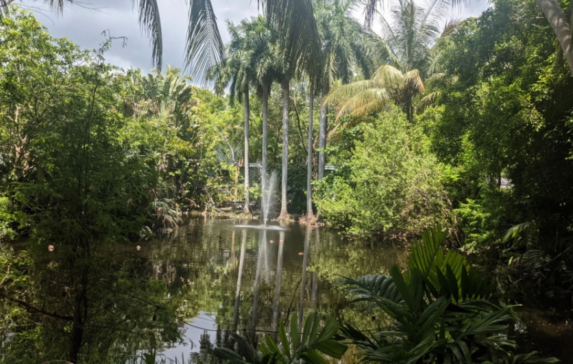 Miami Tropical Botanic Garden