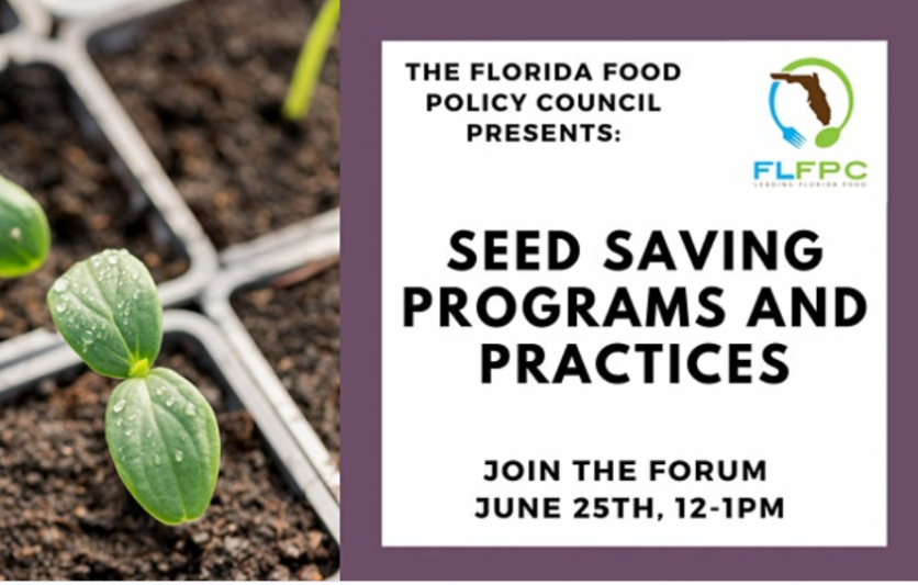 Seed Saving: Programs and Practices