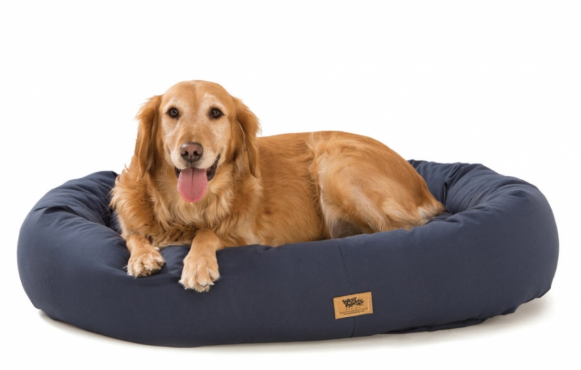 West paw clearance bumper bed