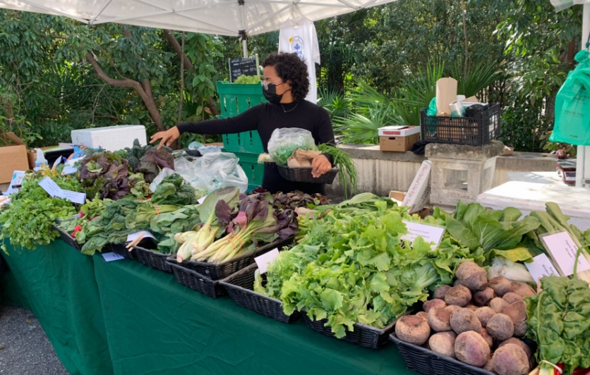 Local produce at Urban Oasis Project