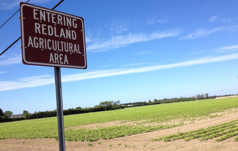 Redland agricultural area