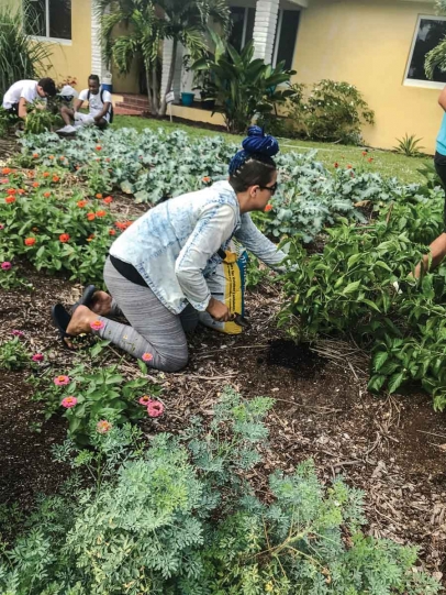 Danielle Ramos tends a front-yard edible garden in Hollywood