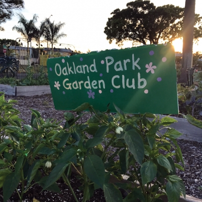 Community garden in Oakland Park