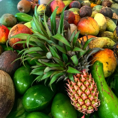 Tropical fruits on display at Fruit and Spice Park