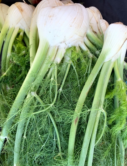 Fennel at the farmers market
