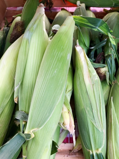 Florida corn at the farmers market