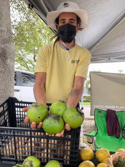 Fruit Hunters at Miami Springs Farmers Market