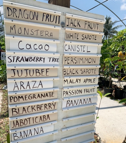 Fruit trees for sale at the Rare Fruit and Vegetable Council of Broward County