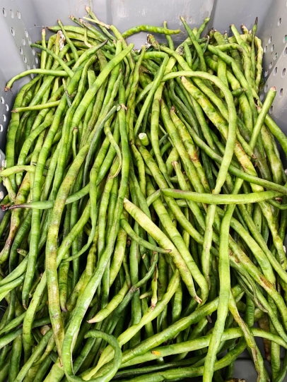 Snake beans in the farmers market
