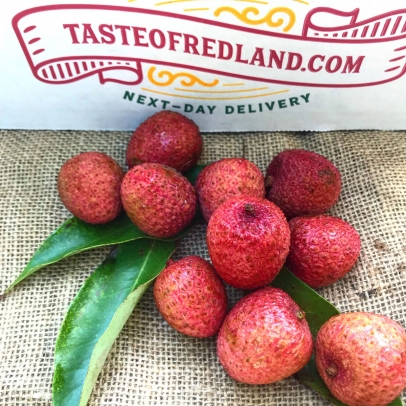 Taste of Redland lychee delivery