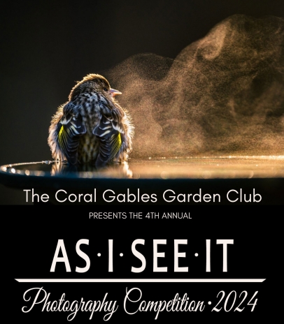 Coral Gables Garden Club photography contest
