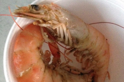 Fresh Key West shrimp