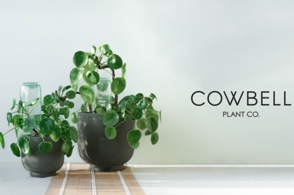 Cowbell plant watering device