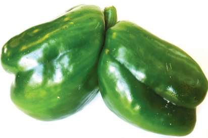 The Pepper Twins