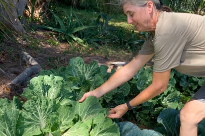 Garden manager Tracy Dillon shows off Ethiopian kale