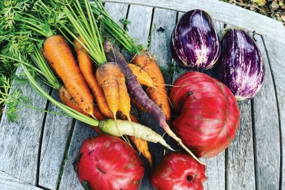Carrots, tomatoes and eggplant