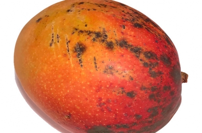 Mango with a few dark spots tastes fine – just cut them out and enjoy.