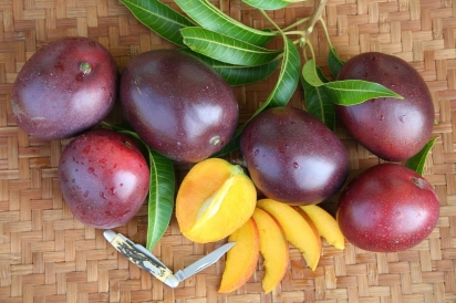 Vallenato mango