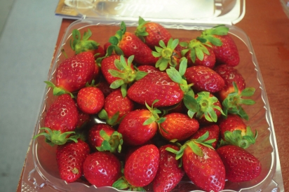 U-Pick Strawberries