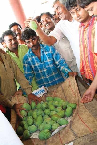  The Kesar mango auction in Jamnagar in Gujarat, one of the world’s biggest wholesale auction houses.