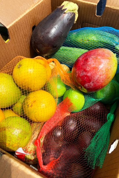 Local mango, veggies in produce box