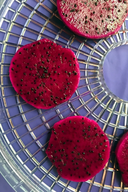 Dragonfruit ready to dry