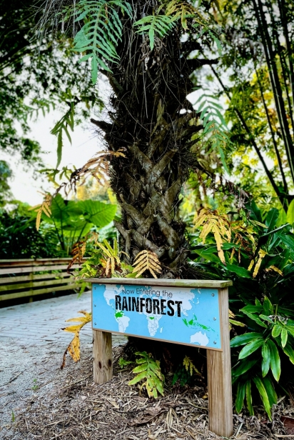 Tour the Rainforest
