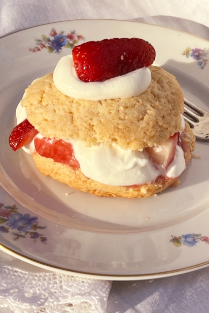Florida Strawberry Shortcake