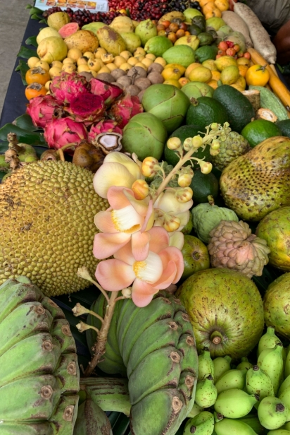 Tropical fruit display at Fruit and Spice Park