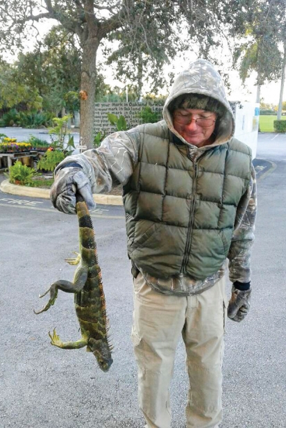 UFI volunteer Jeff Manchester with an iguana stunned by the cold