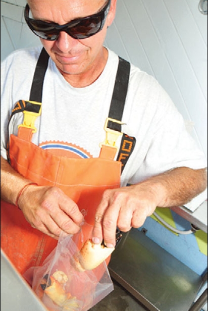 Partner Tony Osborn bags and labels stone crab claws