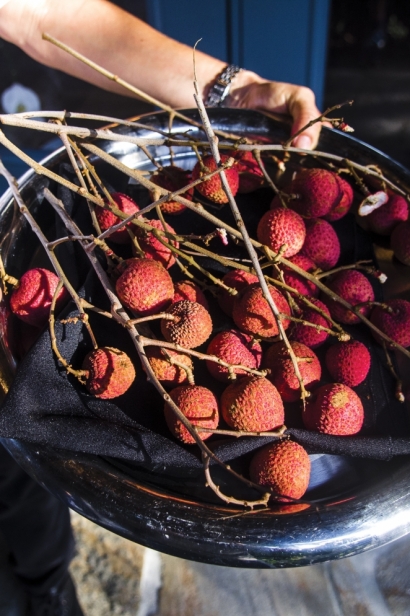 Lychees from Taste of Redland
