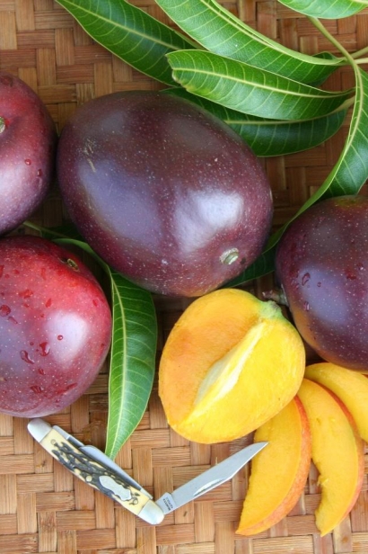 Vallenato mangos from Mango Men Homestead