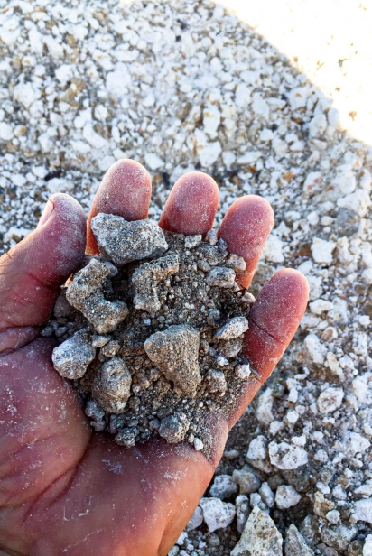 South Florida soil: Native calcareous rock and sand needs improvement.