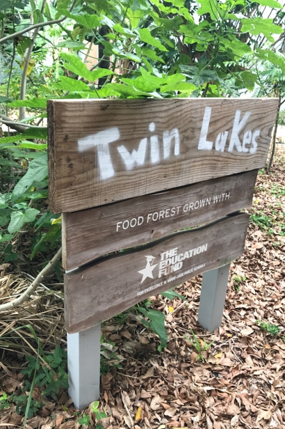 Twin Lakes Elementary food forest