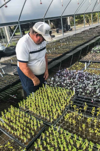 Wayne Maglich looks over seedlings